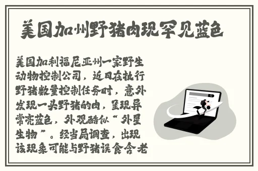 av**乱一区二区三区四区