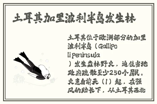 曜给西施焯的脸红